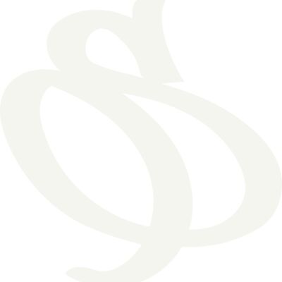 Standard S Bone Thumbnail